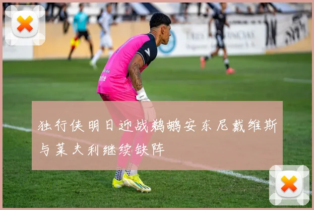 独行侠明日迎战鹈鹕安东尼戴维斯与莱夫利继续缺阵